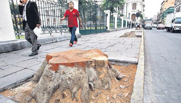 Municipio de Lima retira 7 árboles del Jr. Junín por deterioro