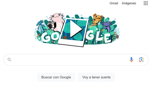Esta es la razón por la que el doodle del 20 de mayo está dedicado al Lago Xochimilco.