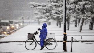 La inusual nevada en Tokio que cubre las calles, santuarios y obliga a cancelar vuelos