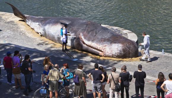 La ballena encallada en París constituye, según la página web del colectivo, una "metáfora gigantesca de la desregulación del ecosistema". (Foto: AP)