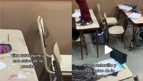 ¡Insólito! Rata se hace viral por evitar que alumnos rindan un examen | VIDEO (Foto:TikTok/santi_ramiss).