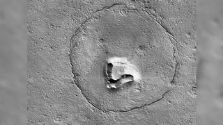 Un oso en la superficie de Marte: este fue el extraño hallazgo de la NASA