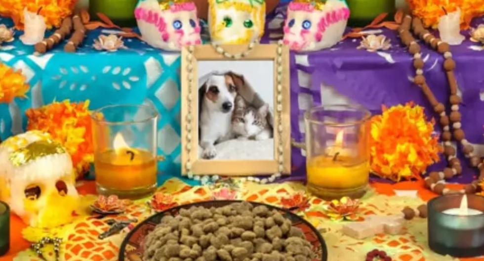 Día de Muertos de mascotas: ¿Cuándo llegan los perros y gatos al altar?