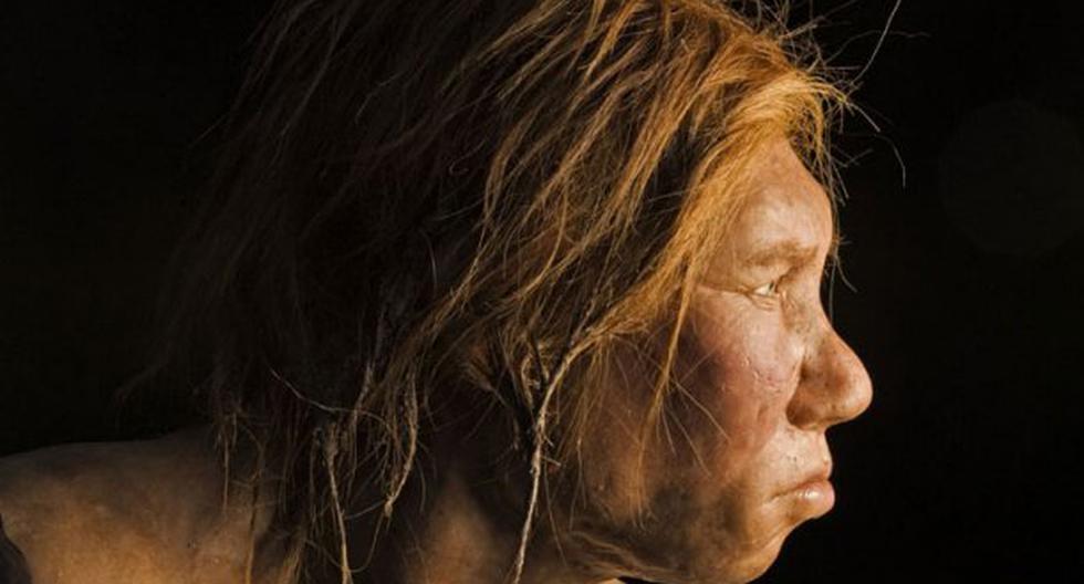 Neandertales sobrevivieron gracias al canibalismo. (Foto: Nat Geo)