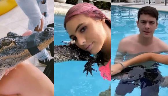 Lele Pons y Guaynaa compartieron fotografías en sus redes sociales donde se les ve nadando con el animal, el cual está amordazado. (Fotos: Guaynaa y Lele Pons en Instagram).