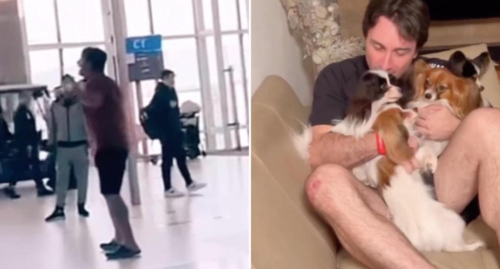 Happy ending: they found the dogs of the man who broke down in tears at the airport