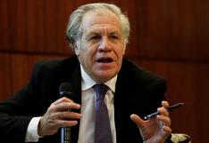 OEA: Luis Almagro dice que el mayor problema para la democracia son los “burros” que gobiernan