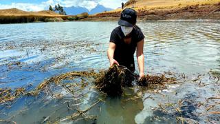 Ancashinos se unen y limpian laguna turística Willcacocha en Huaraz