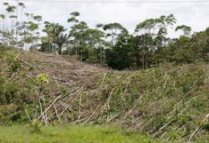 Narcotráfico acelera deforestación en Centroamérica