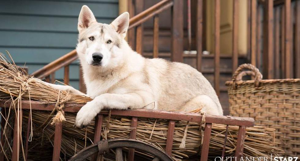 Rollo es otro personaje clave de la cuarta temporada de 'Outlander' (Foto: Starz)