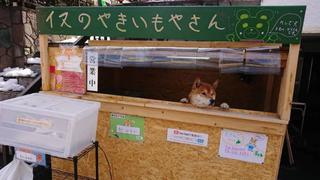 WUF: Perro que administra puesto de venta de camotes rostizados causa furor en Japón