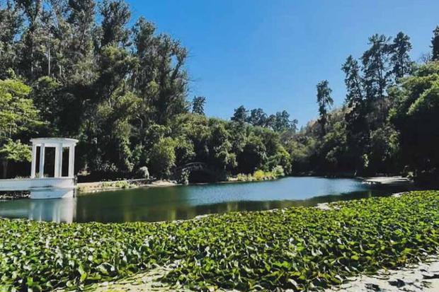 Los cuatro ejes de acción del JBN han sido la conservación, la educación, la investigación y la recreación. Foto: Jardín Botánico Nacional