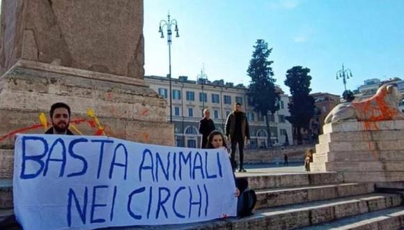 Los activistas se sentaron en las escaleras y desplegaron una pancarta en la que se leía: "Basta de animales en los circos" | Foto: Quotidiano Nazionale