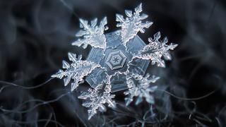 La deslumbrante belleza de los cristales de hielo que componen la nieve [FOTOS]