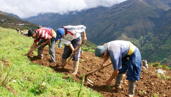 El Ejecutivo hizo cambios al programa FAE-AGrO. (Foto: Midagri)