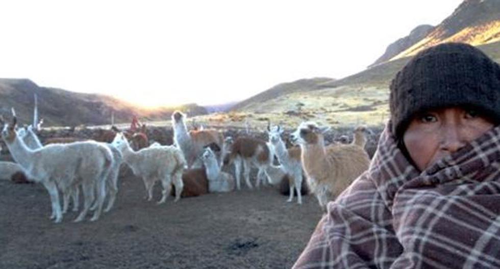 Senamhi advierte: temperatura en la sierra sur del Perú descenderá a -17 grados. (Foto: Agencia Andina)