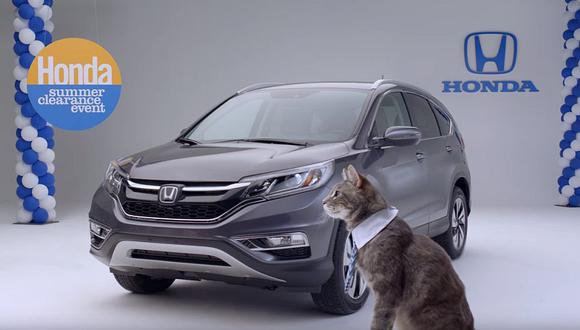 Honda celebra el Día Internacional del Gato [VIDEO]