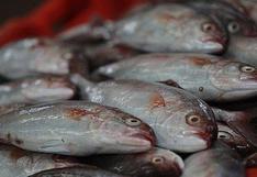 Congreso modificó norma sobre inocuidad de alimentos pesqueros y de acuicultura