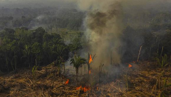 Fotografía aérea muestra hoy uno de los incendios causados en la selva amazónica, en el municipio de Manaquiri cerca a Manaos, estado de Amazonas (Brasil). Los incendios en la Amazonía brasileña cayeron un 48 % en agosto, frente al mismo mes de 2022, pero se dispararon frente a julio, según los más recientes datos divulgados por el Gobierno. Foto: Raphael Alves |  EFE
