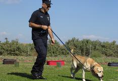 Policías sacan a pasear a más de 100 perros de un refugio y se ganan la admiración en redes