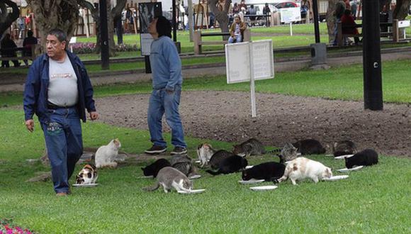 Controversia por las causas de la muerte de 30 gatos del parque Kennedy. (Flickr andsanquiz)