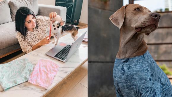 Comodidad y Estilo: Accesorios para Perros que lo Tienen Todo