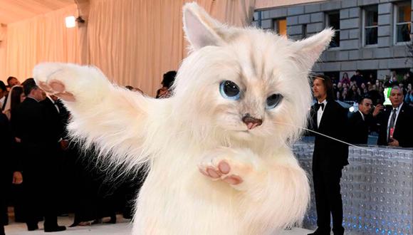 Choupette: ¿quién es la gata protagonista de la Met Gala 2023? | Foto: GTRES