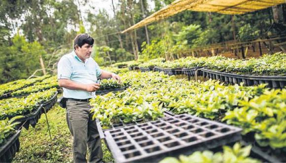 CAN facultó a miembros suspender norma sobre agroquímicos