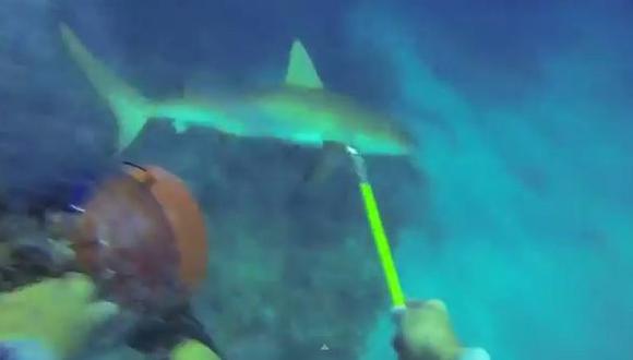 Sobrevivir a un ataque de tiburón lo volvió estrella de YouTube