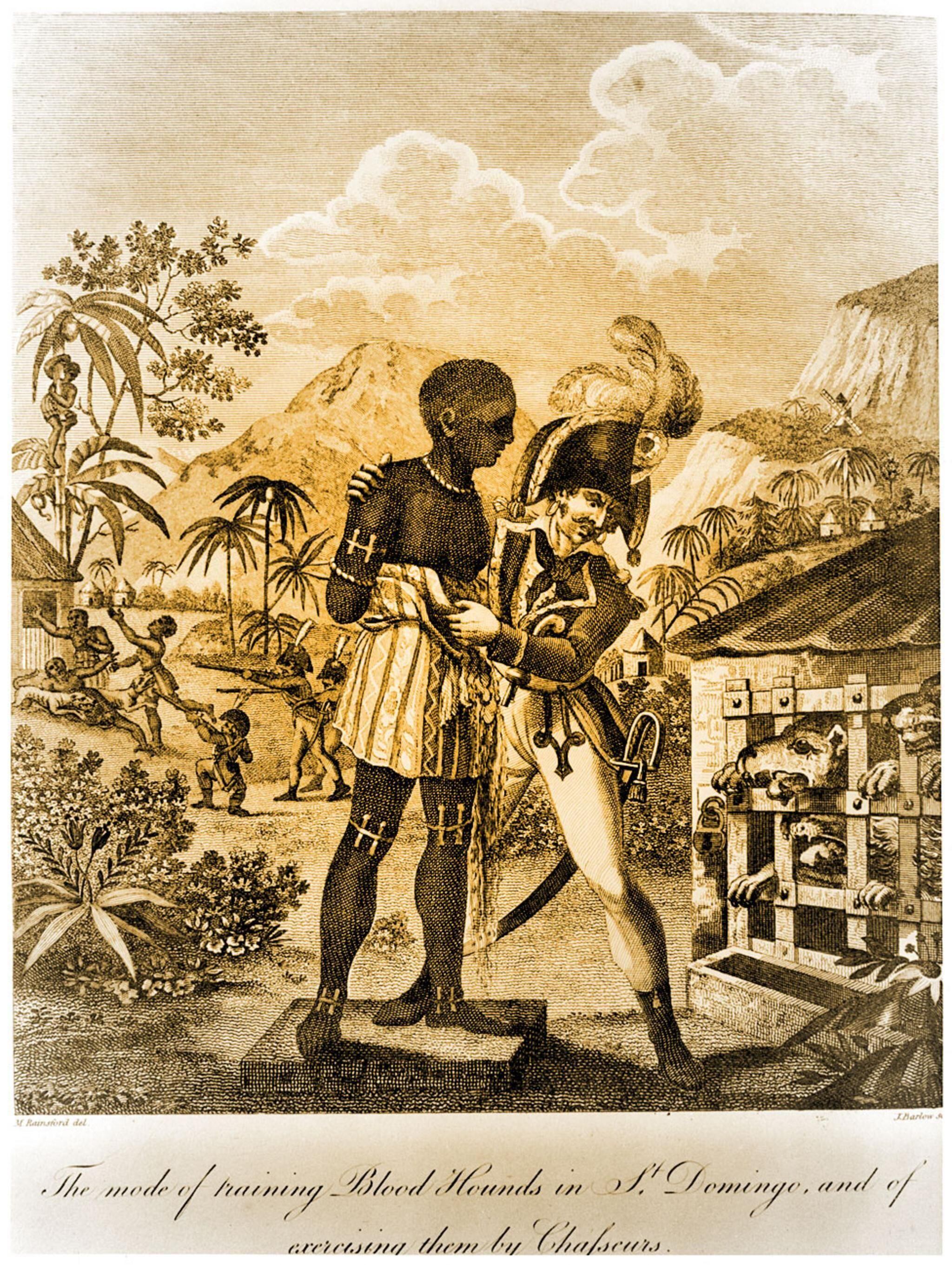 Engraving of a sketch by British soldier Marcus Rainsford showing how hunting dogs were trained in Santo Domingo using slaves, 1791-1803.  (GET IMAGES).