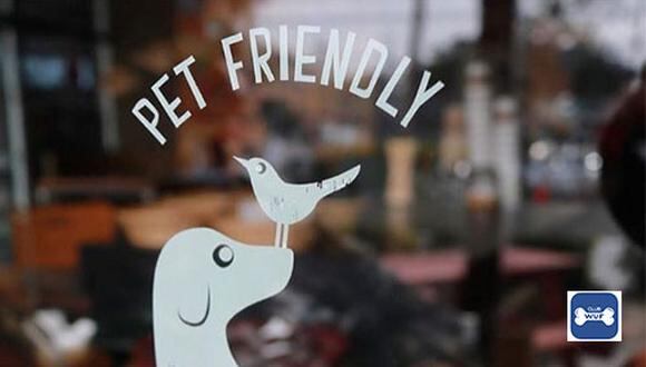 Contar con locales comerciales donde nuestras mascotas son bienvenidas nos da la facilidad de socializarlos e incorporarlos a la sociedad con mayor facilidad.
