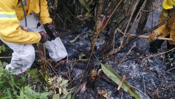 Kuélap: incendio forestal ya fue controlado y está en etapa de extinción