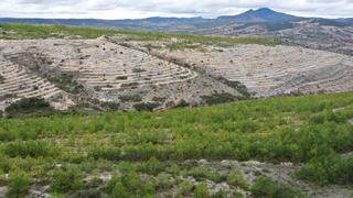 México: el paisaje desértico que las comunidades de la Mixteca Alta transforman en bosque