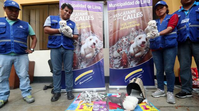 Municipalidad de Lima rescató perros de casona del Jr. Ayacucho - 6