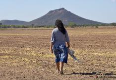 México: “El río Mayo está prácticamente desaparecido, aniquilado” | ENTREVISTA