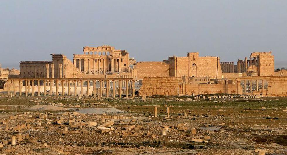 Oasis de Palmira en Siria. (Foto: Wikimedia)