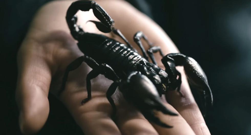 Scorpions está de regreso. (Foto:YouTube)