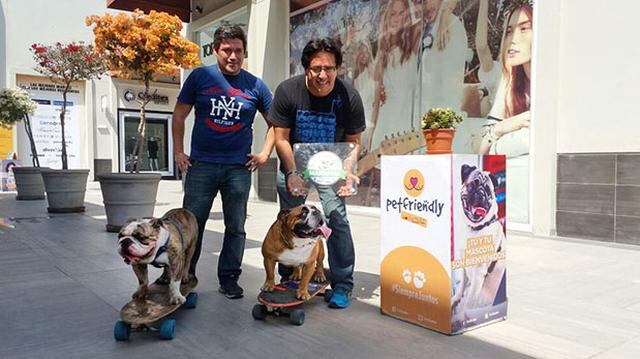 Mall en Lurín le abre sus puertas a las mascotas - 2