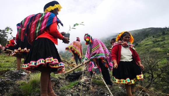 *Imagen principal: Comunidad de Jajahuana reforestando en Callabamba, Cusco, Perú. Foto: Constantino Aucca.