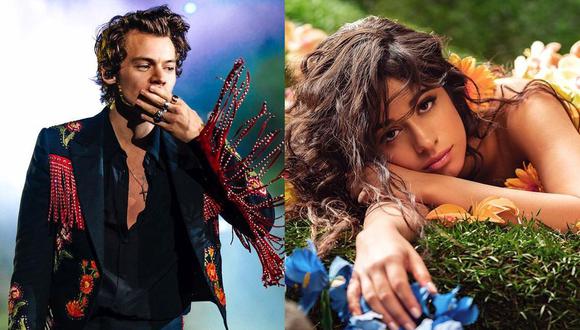 Harry Styles y Camila Cabello aplazan sus giras europeas debido al coronavirus. (Foto: Instagram)