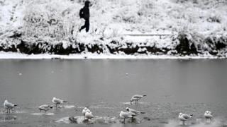 Mueren tres niños en Inglaterra tras caer a un lago congelado 