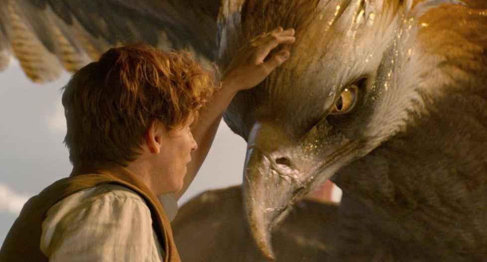  Eddie Redmayne es Newt Scamander en 'Fantastic Beasts' (Foto: Warner bros.)