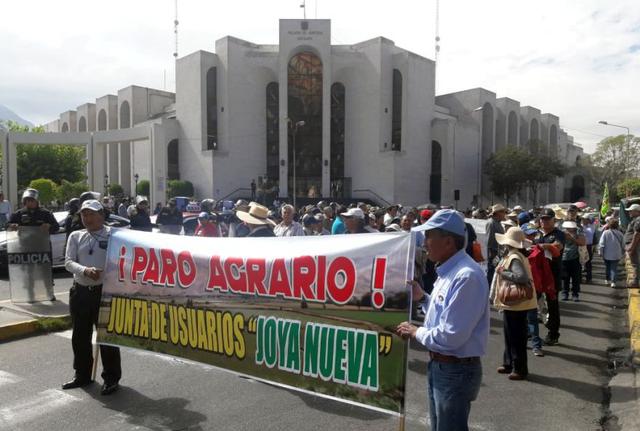 También se registraron concentraciones en las provincias de Camaná, en el valle de Majes (Caylloma), así como en el valle del Tambo, en Islay (Foto: Zenaida Condori)