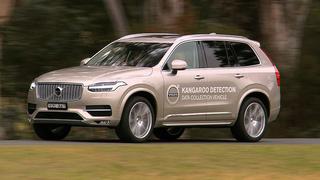 Volvo creó un sistema de detección de canguros en Australia