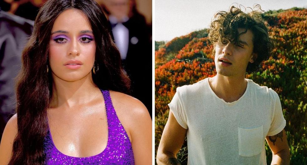 Camila Cabello and Shawn Mendes demonstrate on Instagram that they maintain their friendship after breakup