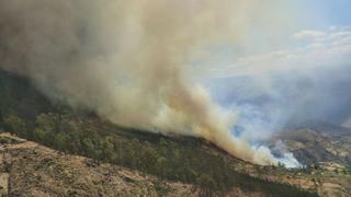 Áncash: incendio arrasa bosque de eucaliptos en Pallasca