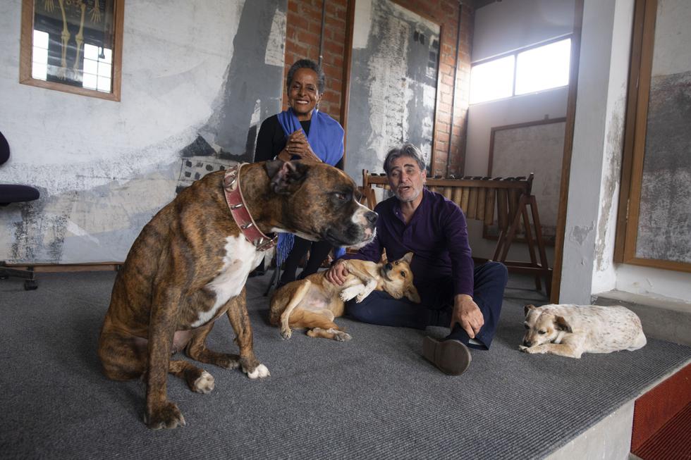 EN FAMILIA. Mambo, Tico, Luna y Nini acompañan a Susana y Ricardo en su casa-estudio-escuela de Cañete.