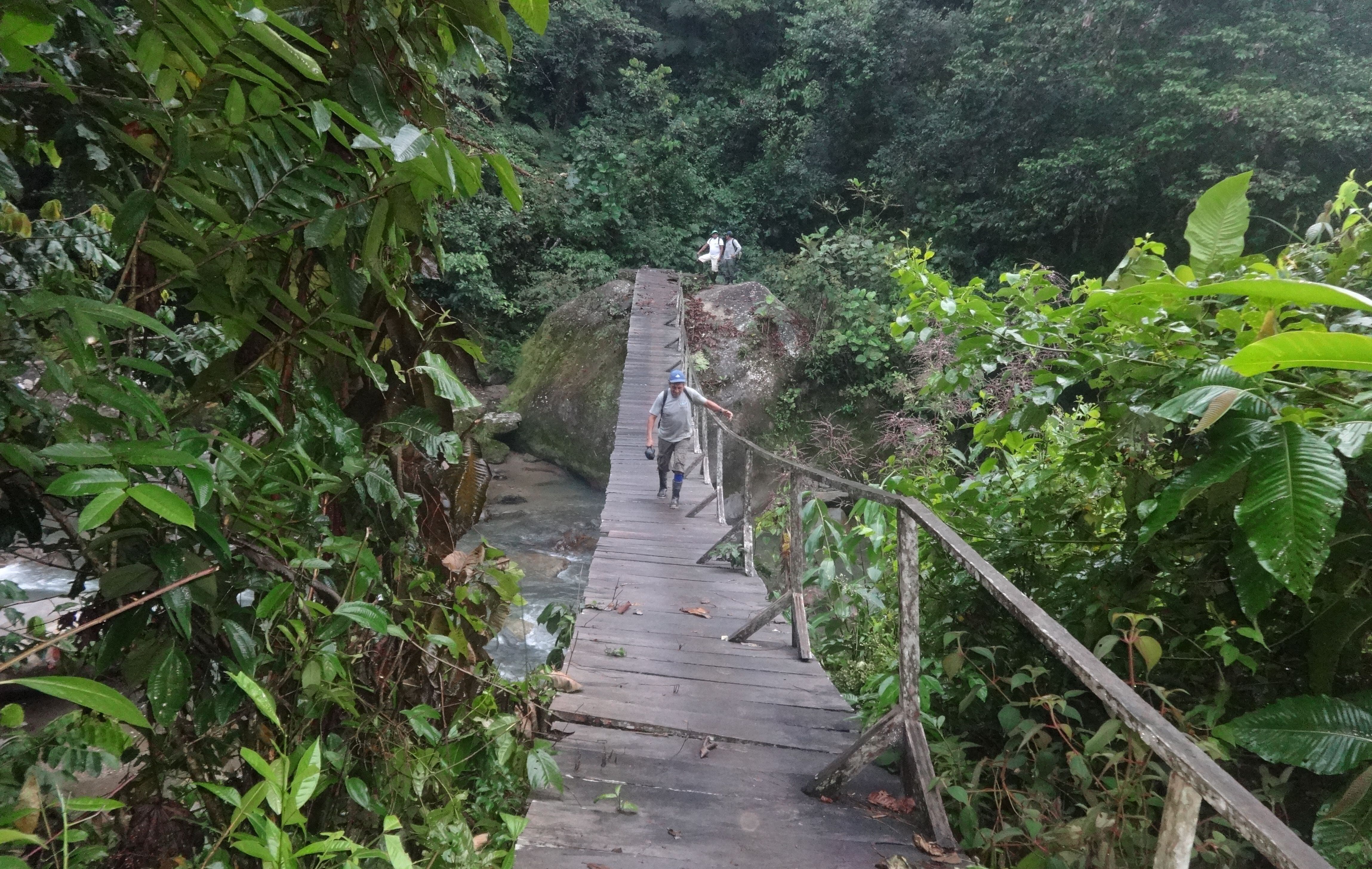 Puente colgante que comunica las localidades de Alto Mantaro y Valle Manantial, zonas donde los comuneros de Unión Fortaleza tuvieron reuniones con mandos de Sendero Luminoso.   