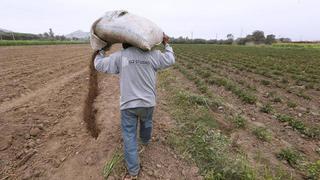 Fertiabono 2022 para productores agrarios: cuándo y cómo cobrar el apoyo económico 