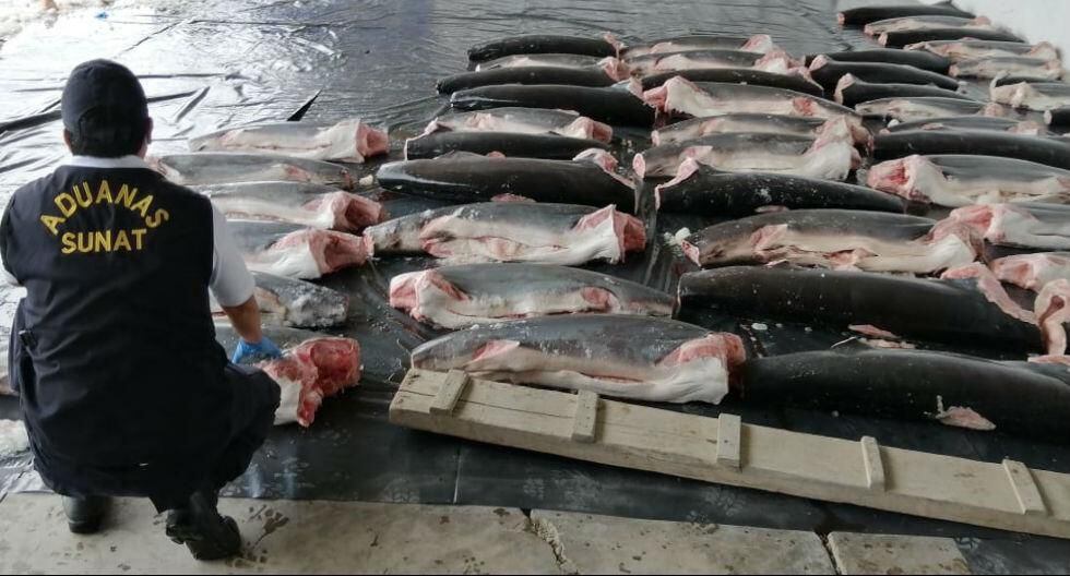 Tumbes: incautan once toneladas de carne de tiburón que iban a comercializarse en el país (Foto: Sunat)